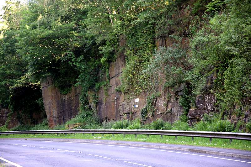 Pennant Sandstone at Llety Twrner