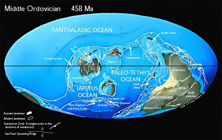 Figure 5 Middle Ordovician