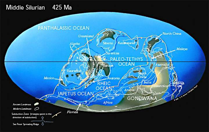Figure 6 Middle Silurian